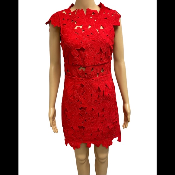 Piper Lace High Collar Mini Dress - Picture 2 of 12